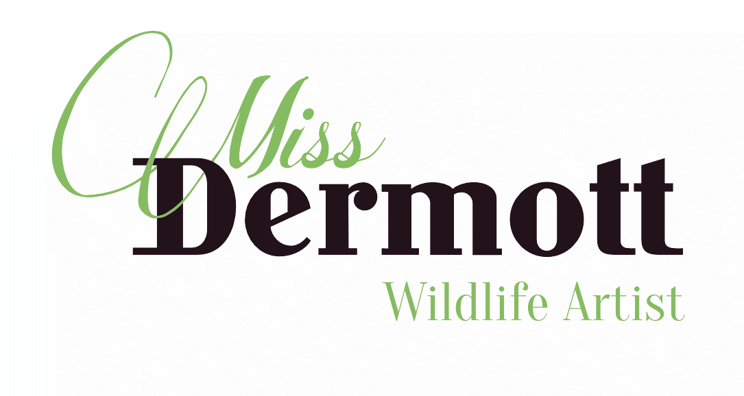 La Boutique de Miss Dermott – Wildlife Artist