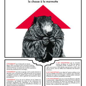 Projet Arrêtez Marmotte Visuel Numérique